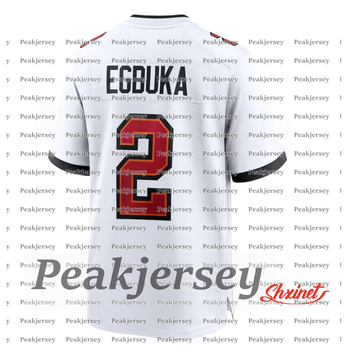 Baker 6 Mayfield Tom 12 Brady 2025 Salute to service Football Jerseys Mike Evans Emeka 2 Egbuka Bucky Irvin Chris Godwin Jr. Vita Vea Mens