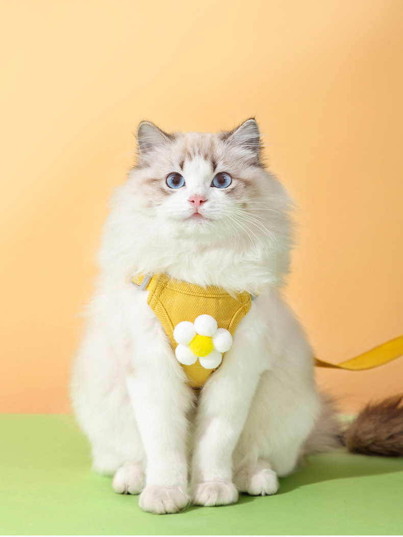 Teddy Small Dog Cat Vest Harness Leash with Reflective Stripes and Cute 3D Accessories for Walking Safety