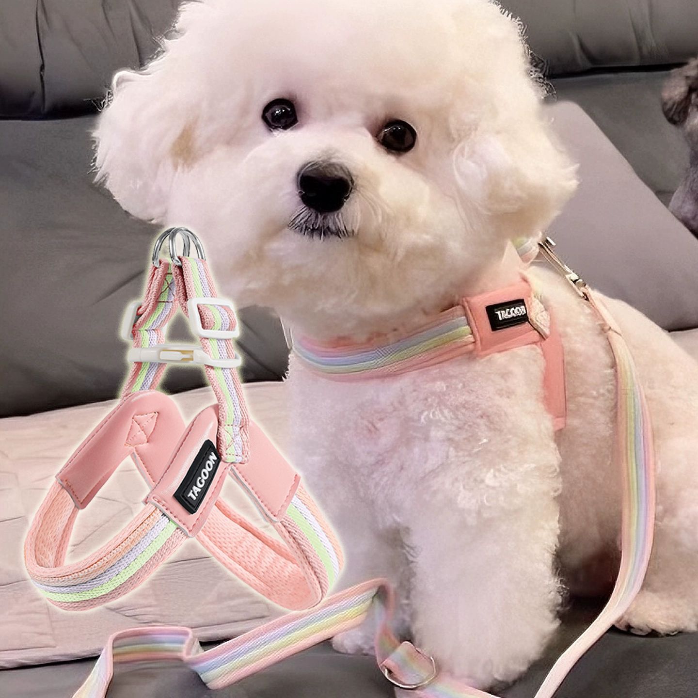 Breathable Rainbow Dog Harness Adjustable Strap for Small Medium Dogs Bichon Frise Walking Vest Pet Leash