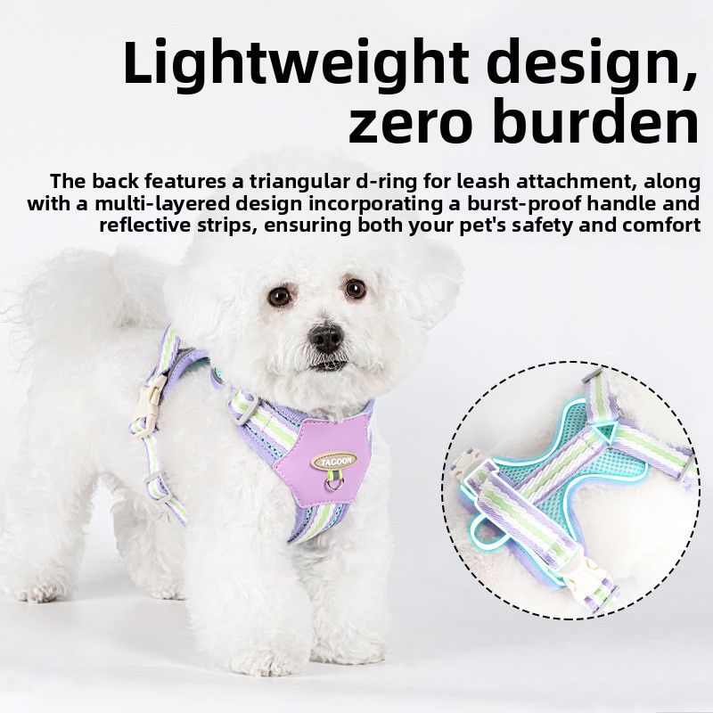 Dog Harness Lightweight No Hair Staining Breathable Mesh Small Pet Vest with Leash for Outdoor Walking