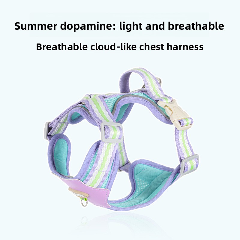 Dog Harness Lightweight No Hair Staining Breathable Mesh Small Pet Vest with Leash for Outdoor Walking