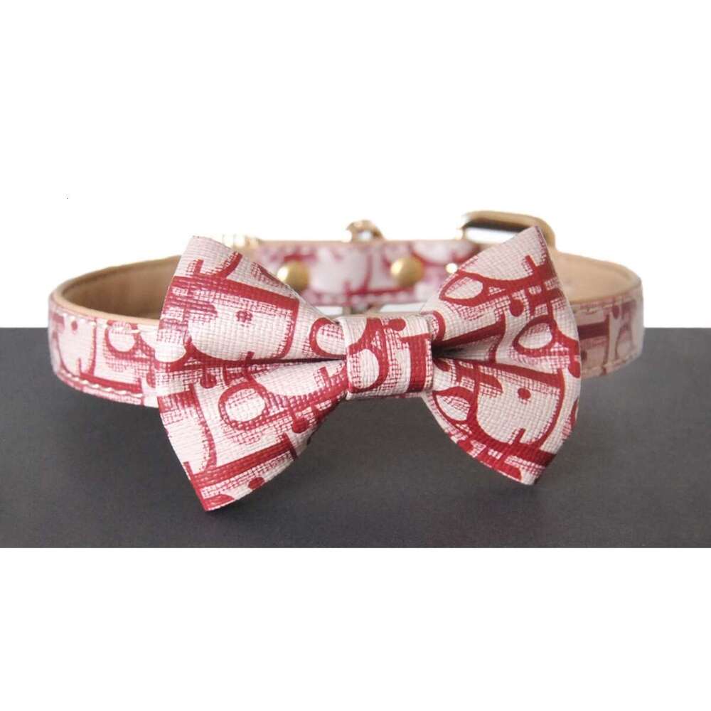 PUPPY Collar Leash For Men And Women Designer Colors Subculture Choker Original Niche Female Male M Training