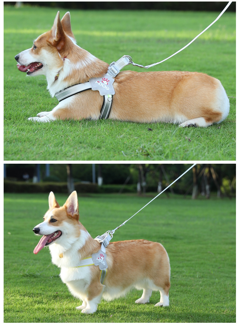 Breathable No Pull Dog Harness with Leash Reflective Adjustable Vest for Large Dogs Comfortable Outdoor Walking
