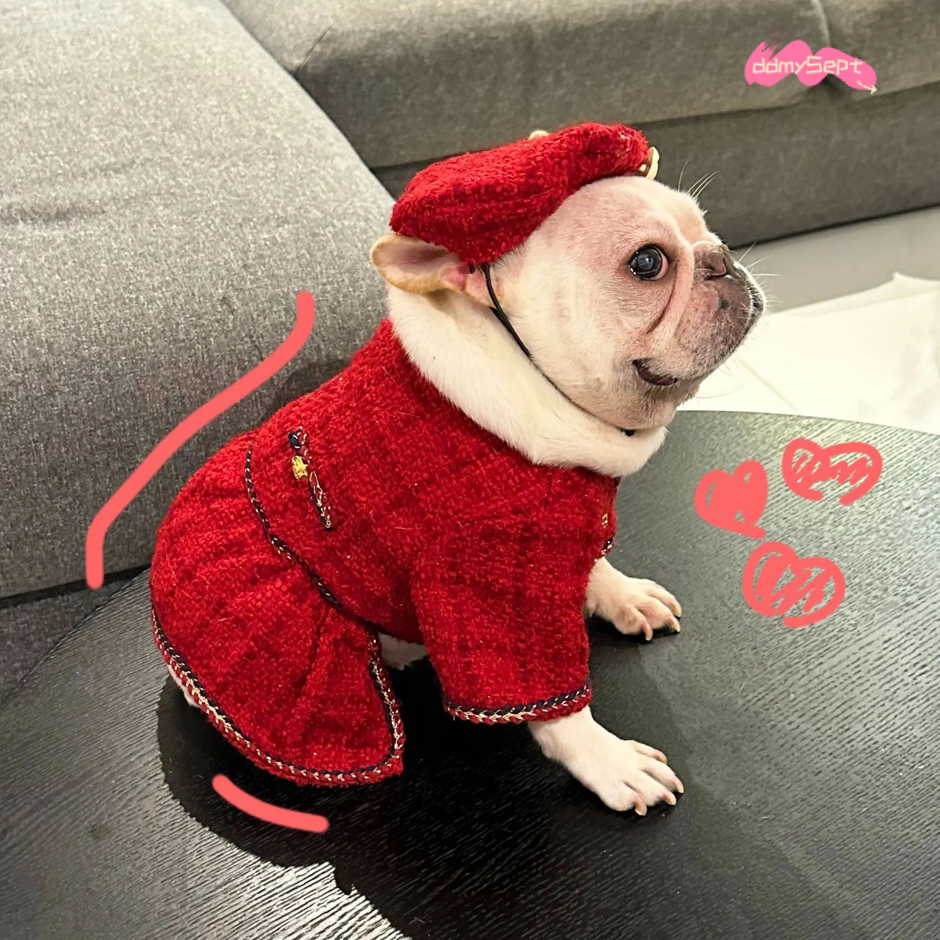 Tweed Princess Dog Dress - Cute Pet Clothes Outfit for Small Dogs, Puppies, Cats, Teacup Yorkie, Chihuahua XL ddmysept H260130