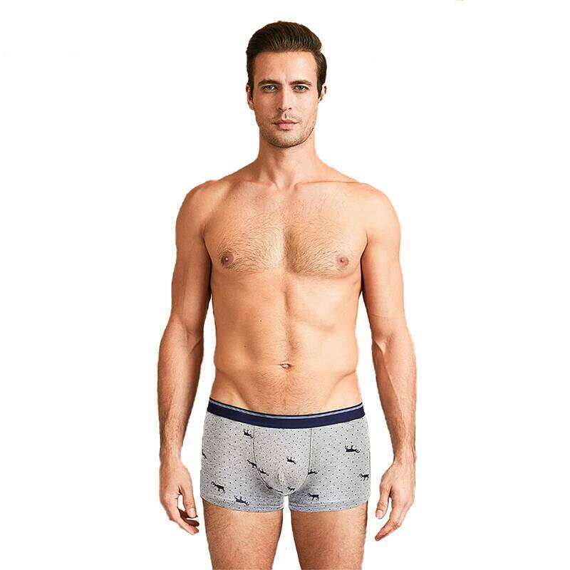 4pcs Men's Panties Sexy Shorts Cotton Underwear Male Breathable Boxers Solid Boxershorts Brand Underpants X251225