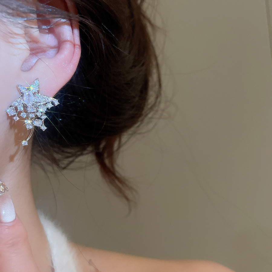 Silver Needle Zircon Flower Star Minimalist Elegant Niche Versatile Light Luxury High-end Earrings - view 3