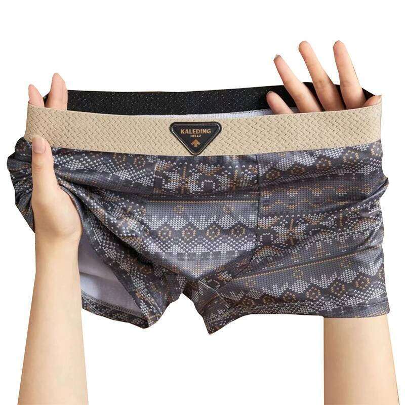 4pcs Ethnic Men's Underwear Light Luxury Style Boxershorts Comfortable Breathable for Young People Fashion Men Panties X251225