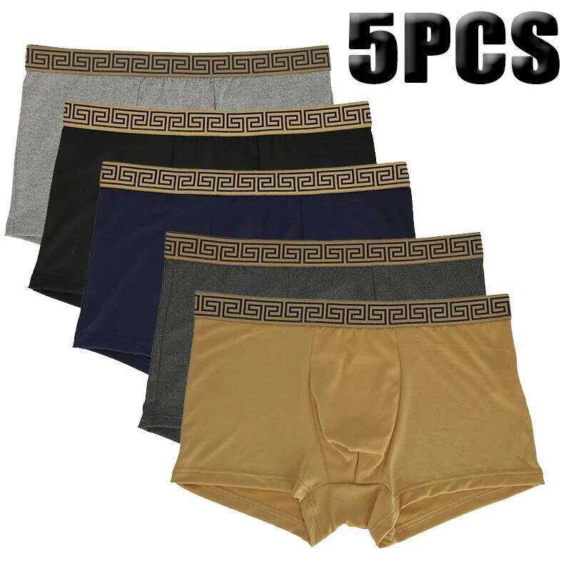 5Pcs Underwear Fashion Men's underpanties Comfortable Breathable Soft Sexy Shorts Sport Boxer Briefs New X251225
