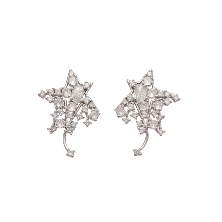 Silver Needle Zircon Flower Star Minimalist Elegant Niche Versatile Light Luxury High-end Earrings - view 9