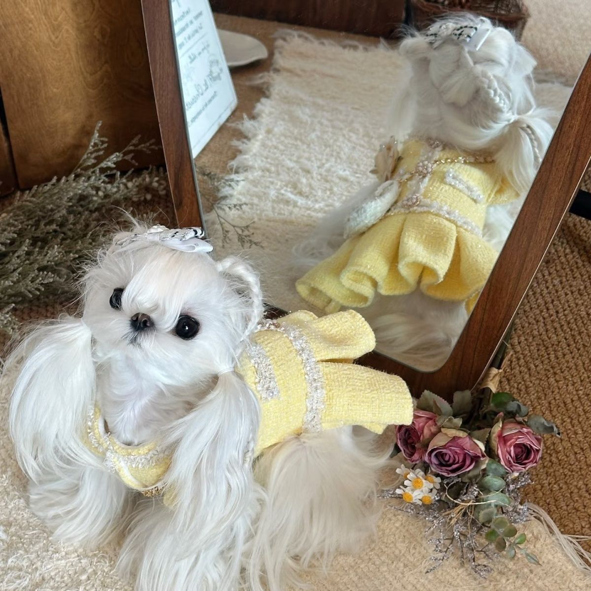 2026 New Chanel Style Dog Clothes Autumn Winter Pet Jumpsuit Cat Maltese Princess Dress