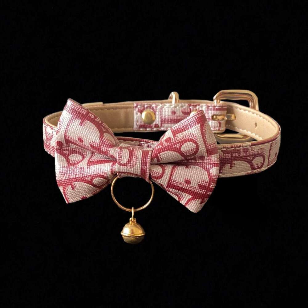 PUPPY Collar Leash For Men And Women Designer Colors Subculture Choker Original Niche Female Male M Training