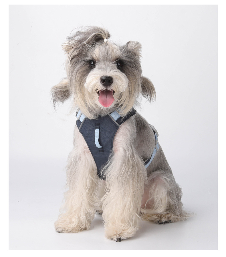 Lightweight Durable Water-resistant Pet Vest with Easy Adjustments for Active Outings