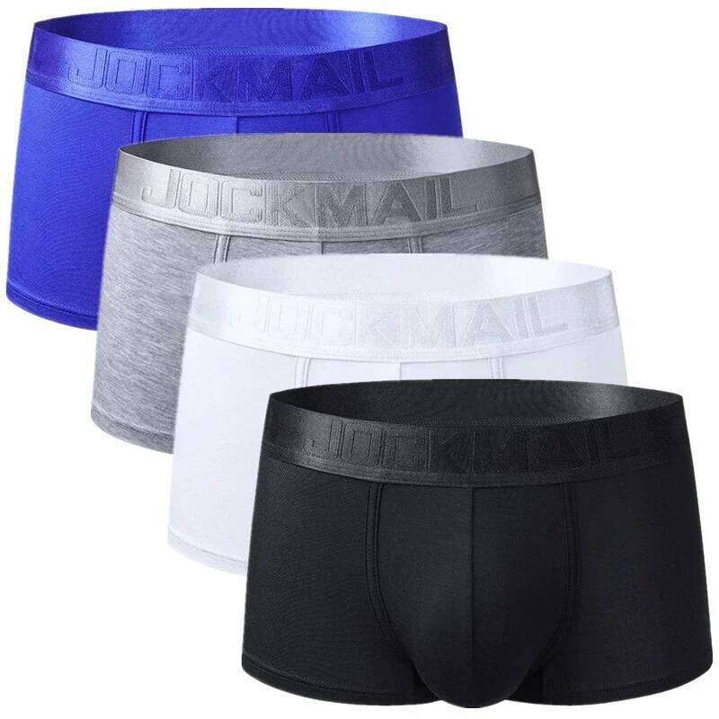 4PCS/Lot Underwear Men Men's Underpants Shorts Man Panties Boxershorts Boxer Ropa Interior Hombre Modal Breathable X251225