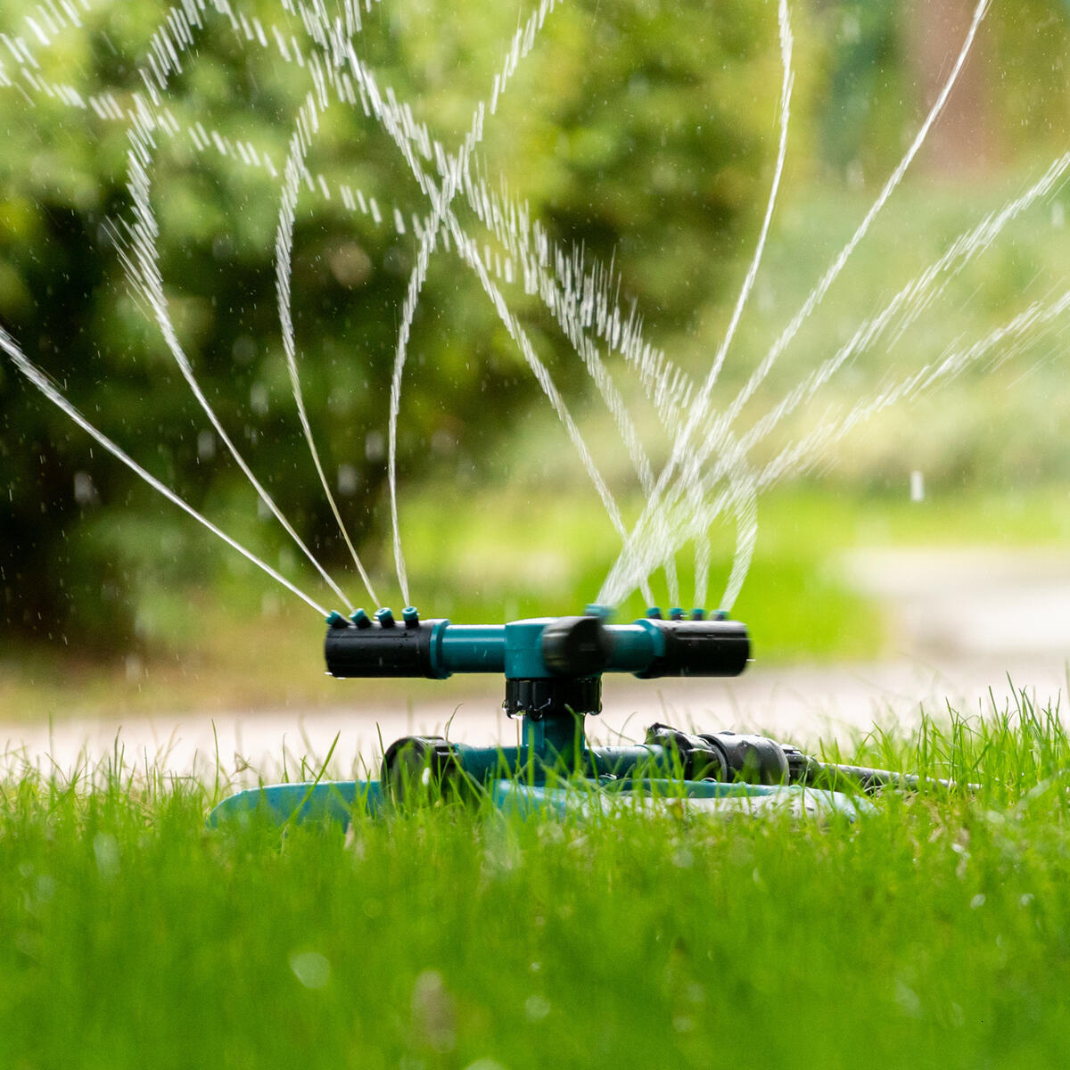 Cross-Border Garden… - image