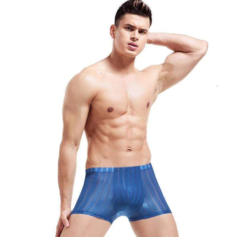 5pcs Men's underwear men's summer breathable youth fashion thin boxer shorts sexy ice silk sports underpants X251225