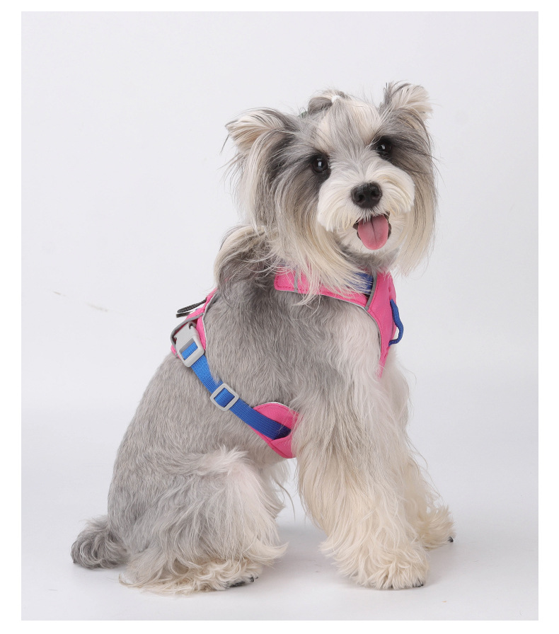 Lightweight Durable Water-resistant Pet Vest with Easy Adjustments for Active Outings