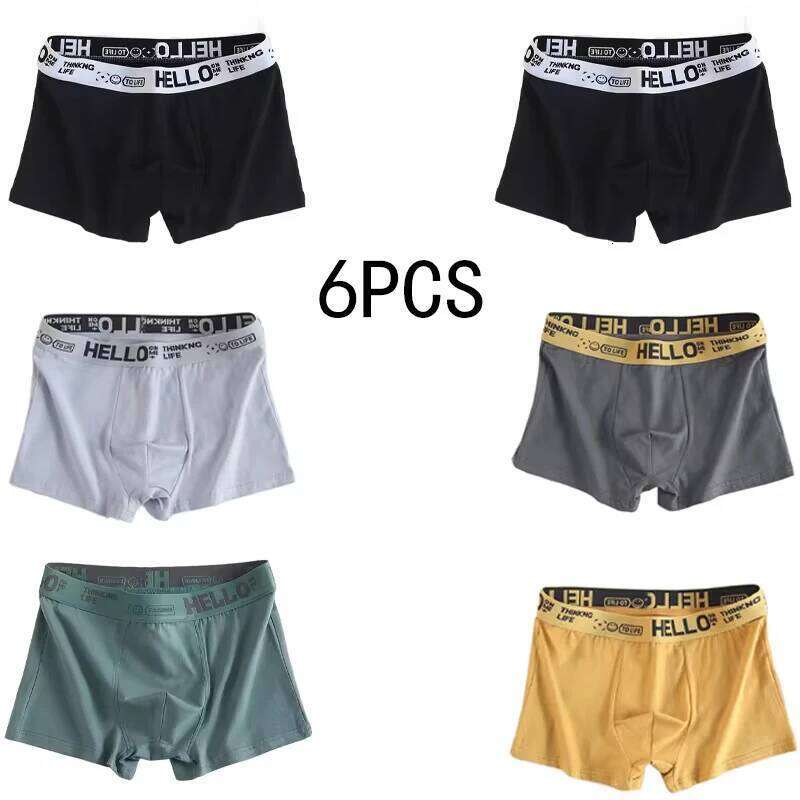 6pieces Mens Underwear Pure Men Panties Breathable Boxer Shorts Comfortable soft X251225