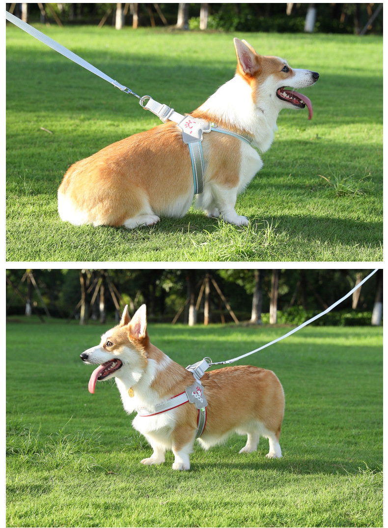 Breathable No Pull Dog Harness with Leash Reflective Adjustable Vest for Large Dogs Comfortable Outdoor Walking