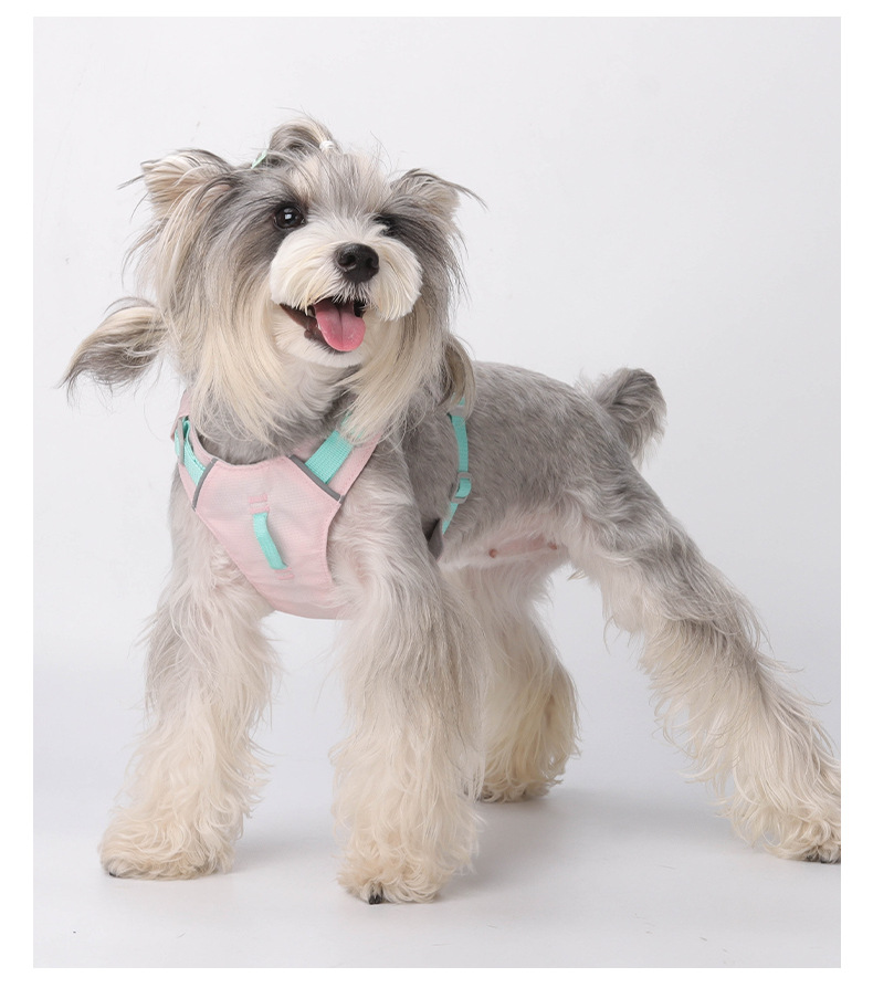 Lightweight Durable Water-resistant Pet Vest with Easy Adjustments for Active Outings