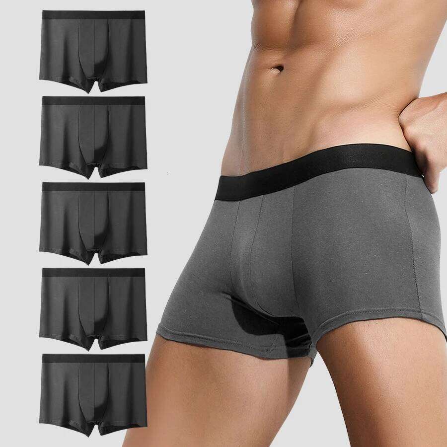 5Pcs Men's Pure Cotton Underwear Sports Boxer Shorts Large Size Comfortable Breathable Underpants Trendy X251225
