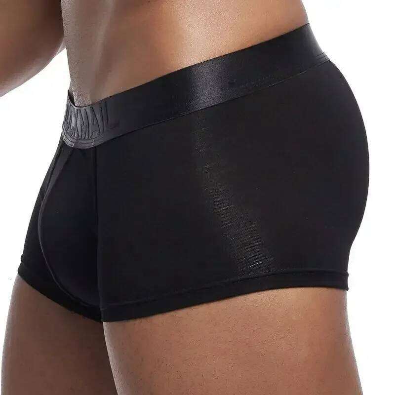 4PCS/Lot Underwear Men Men's Underpants Shorts Man Panties Boxershorts Boxer Ropa Interior Hombre Modal Breathable X251225