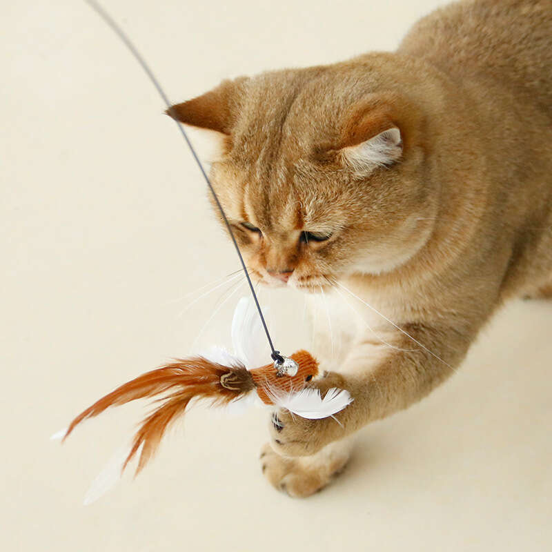 Bird Realistic Style Long Handled & Cat Teaser With Replaceable Feather Tips Cat Toy Pet Supplies