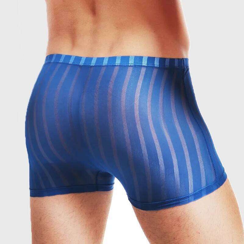 5pcs Men's underwear men's summer breathable youth fashion thin boxer shorts sexy ice silk sports underpants X251225