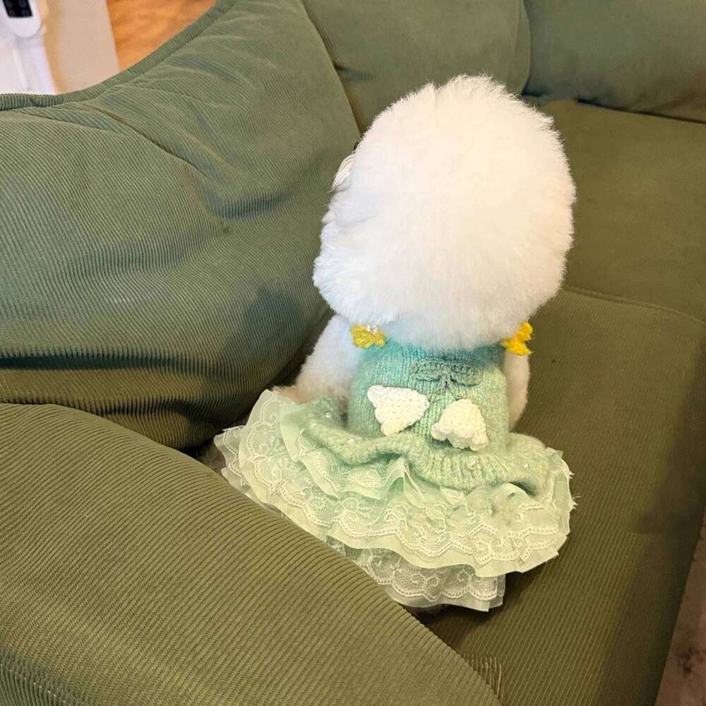 Green Bellflower Design Exquisite Pet Knitted With Pearl Lace - Autumn Dog Dress Sweater 25T1226