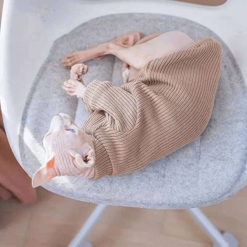 Autumn winter casual simple solid color pullover sweater for small and medium-sized dogs warm cat two-legged pet dog clo 25T1226