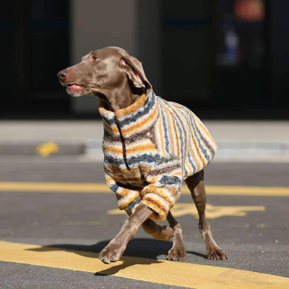 Dog Winter Sweater for Larg Dogs, 2 Legs Warm Fleece Puppy Coat High Collar Jumpsuit, Comfortable Outfit Apparel For Big Breeds 25T1226