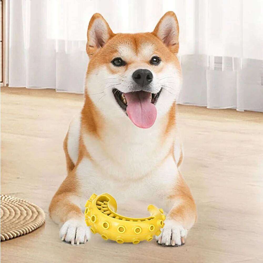 Tpr For Small Medium Dogs Bite Resistant Chew Dog Teeth Cleaning Toys Pet Supplies 25N1226