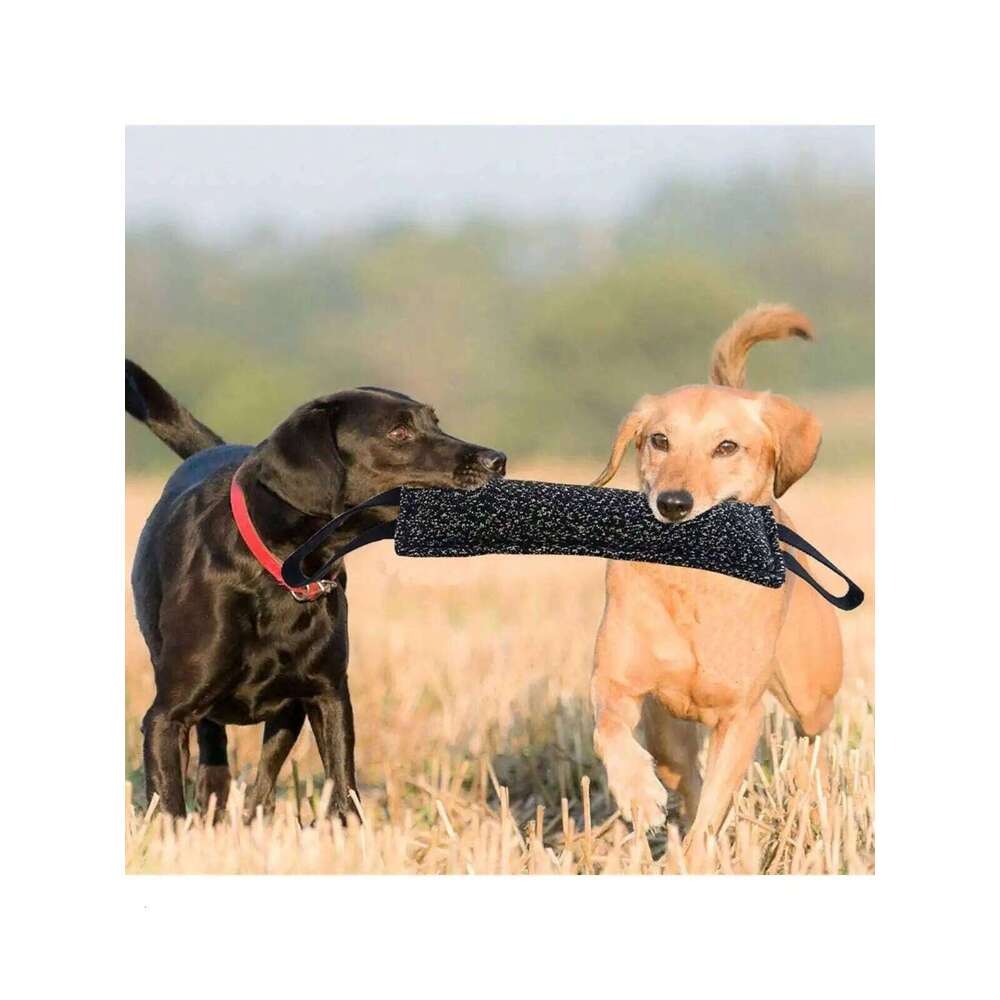 1pc Dog Bite Stick Enhances Effective Training- Comfortable Handle For Interactive Play, Grinding Teeth, And Chew Training 25N1226