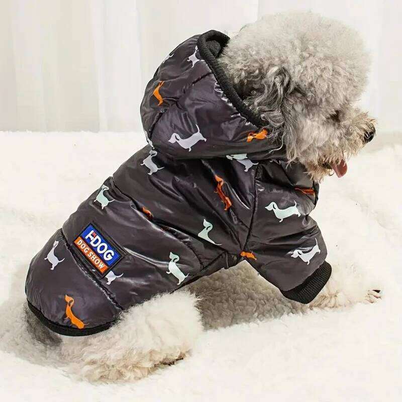 Autumn winter clothing, Teddy bichon frise fleece, thickened comfortable warm clothes, pet cat and dog supplies 25T1226