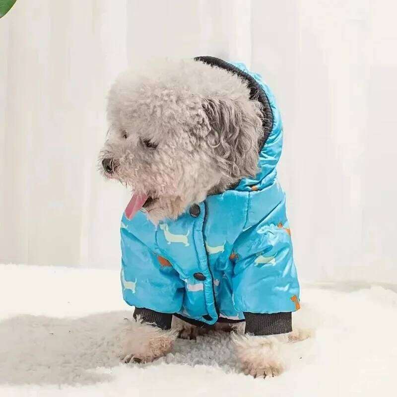 Dog Cat Coat Jacket Autumn winter clothing, Teddy bichon frise fleece, thickened and comfortable warm clothes, pet cat a 25T1226