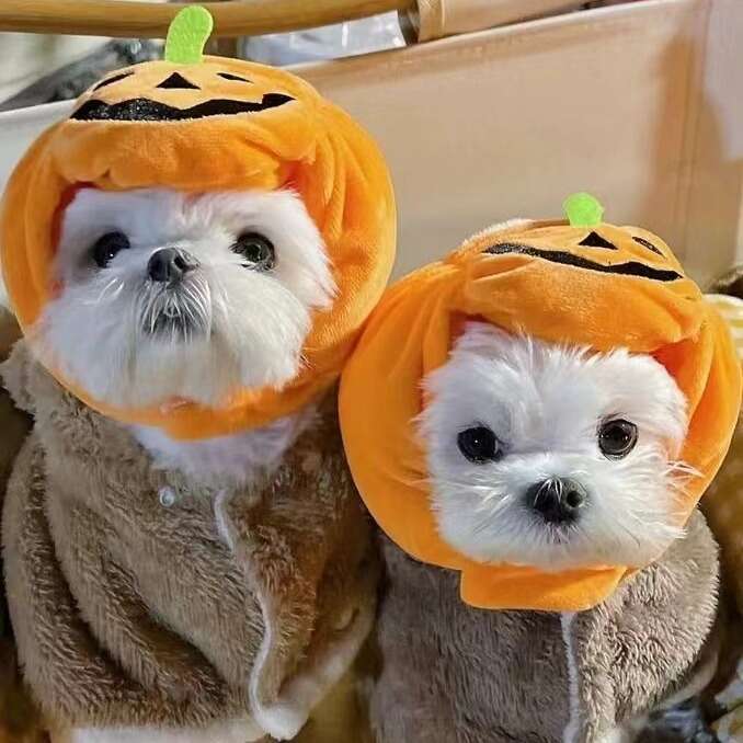 Pet Cat Pumpkin Hat Halloween Ghost Festival pet supplies Decoration Headwear Supplies Small Medium Large Dog Teddy New 2026 French Bulldog