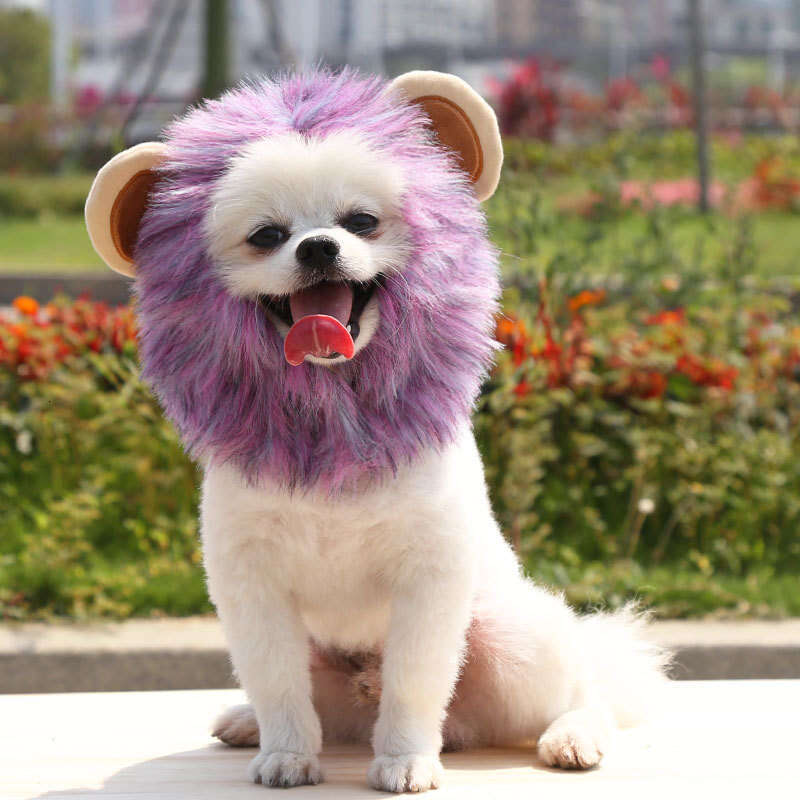 Halloween Lion Costume Ghost Festival pet supplies Pet Hat New Adjustable Dog Supplies 2026 Cat Clothes Autumn Winter