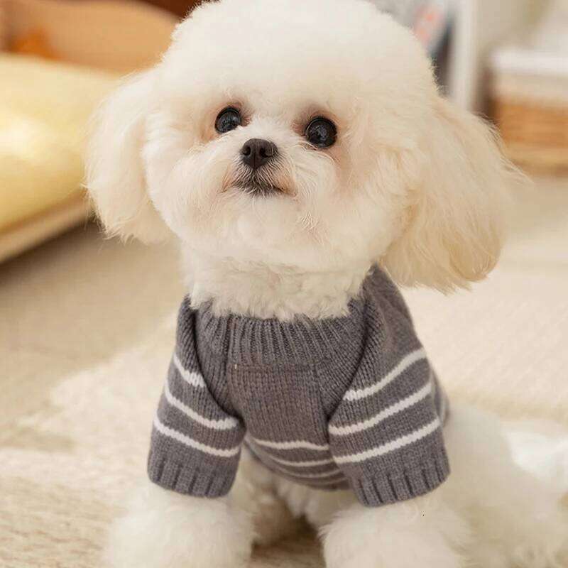 Striped Clothes Sweater for Fashion Winter Coat Warm Pet Knitted Vest Chihuahua French Bulldog 2025 Dog Costume 25T1226