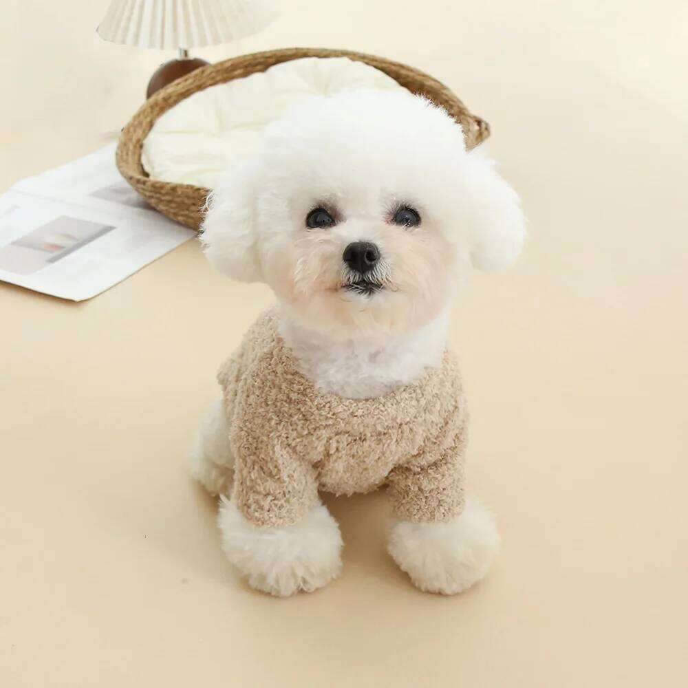 Warm Solid Color Cloud Hoodie Dog Cat Autumn and Winter Thick Double sided Velvet Simple Clothing 25T1226
