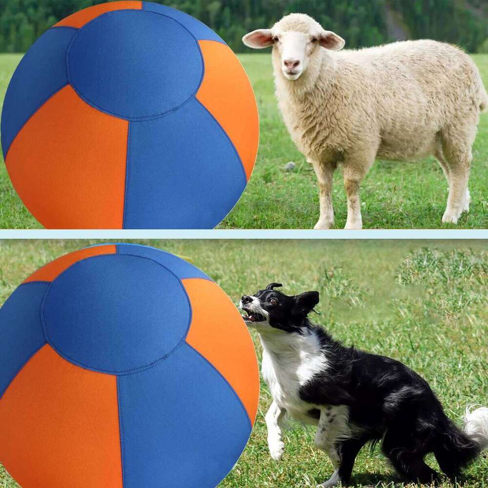 Giant Toy Large Pet Outdoor Training Supplies Children's Interactive Game Toys Interest Play Balls Dog Like Colors Ball 25N1226