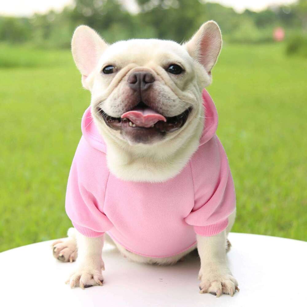 Fashion Dog Clothing Autumn And Winter Small Clothes Thickening Warm Solid Color Two-Feet Hooded Wweater Casual Pet Products 25T1226