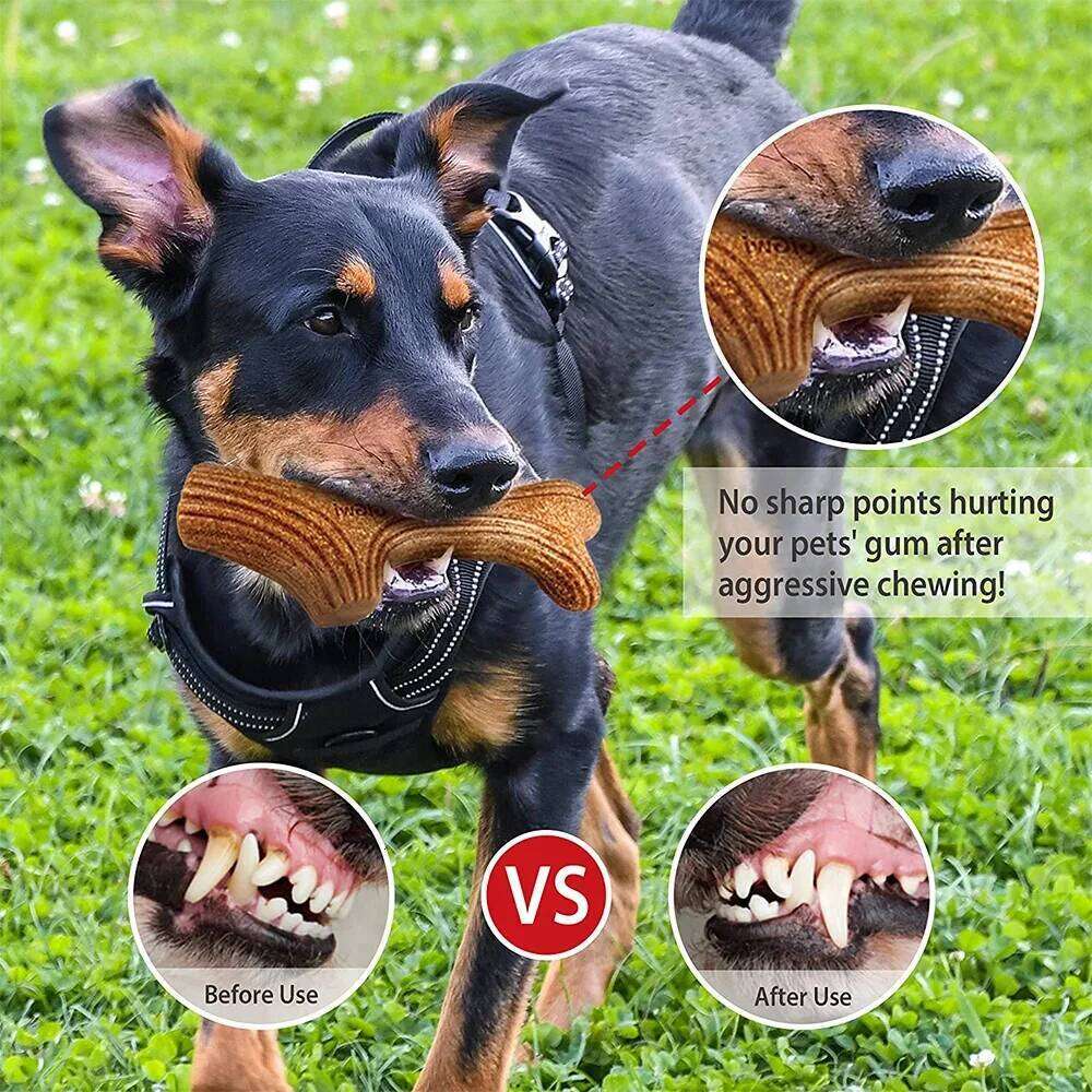 Gigwi Chew Real Wooden Deer Antlers for Aggressive Chewers Large Dog Chewing Indestructible Tough Durable Pet Toys Gift 25N1226