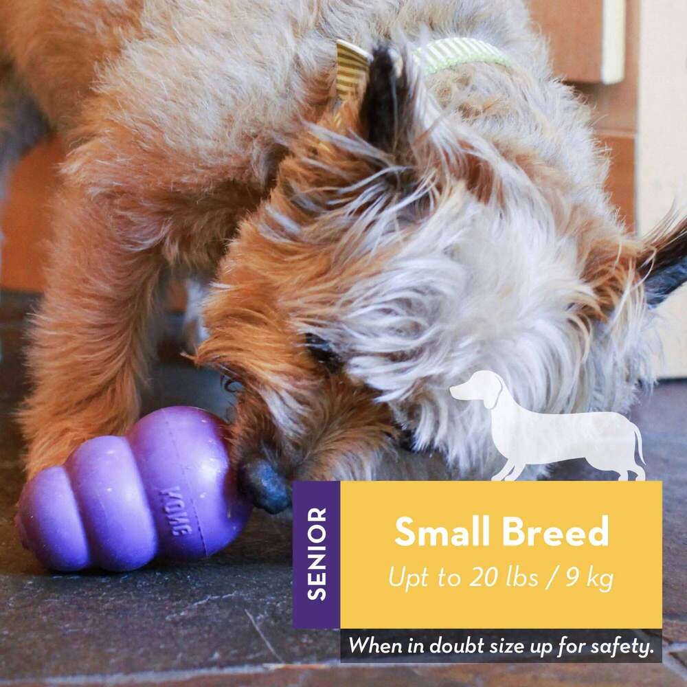KONG Senior Dog Toy Gentle Natural Rubber Fun to Chew, Chase and Fetch Purple 25N1226