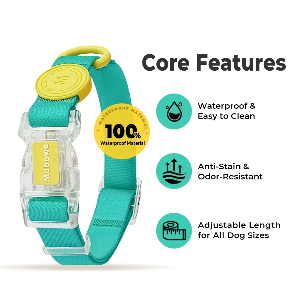 Dog Collar Designer Dhpet Waterproof PVC Rubber Small Dog Adjustable Durable Anti-Odor Pet Leash Set Multi-Colors Soft dog leash Basic Collar Harness