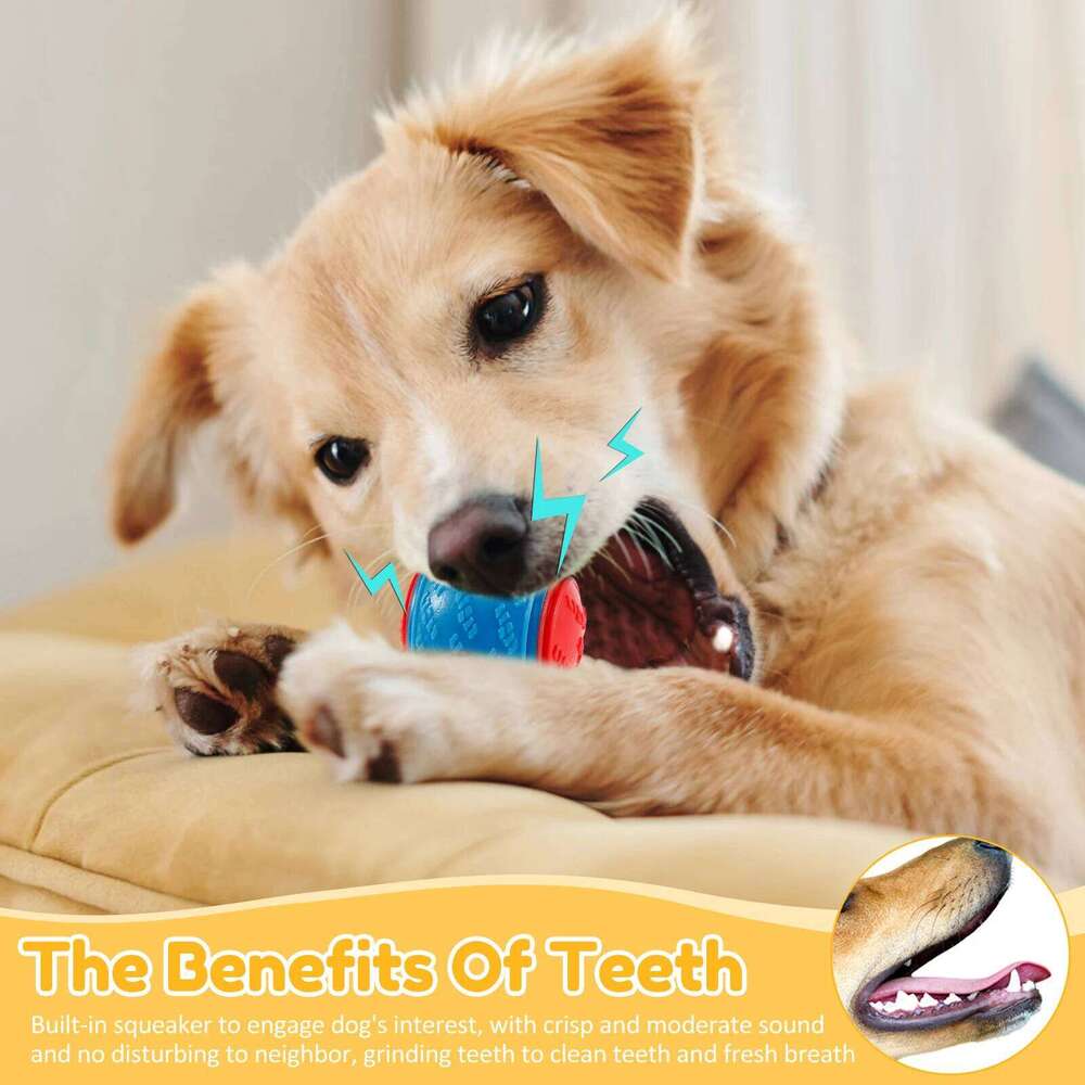 6Pcs Squeaky Balls Dogs Interactive Toys TPR Chew Toy for Dog Teeth Cleaning Bite Resistance Pet Supplies 25N1226