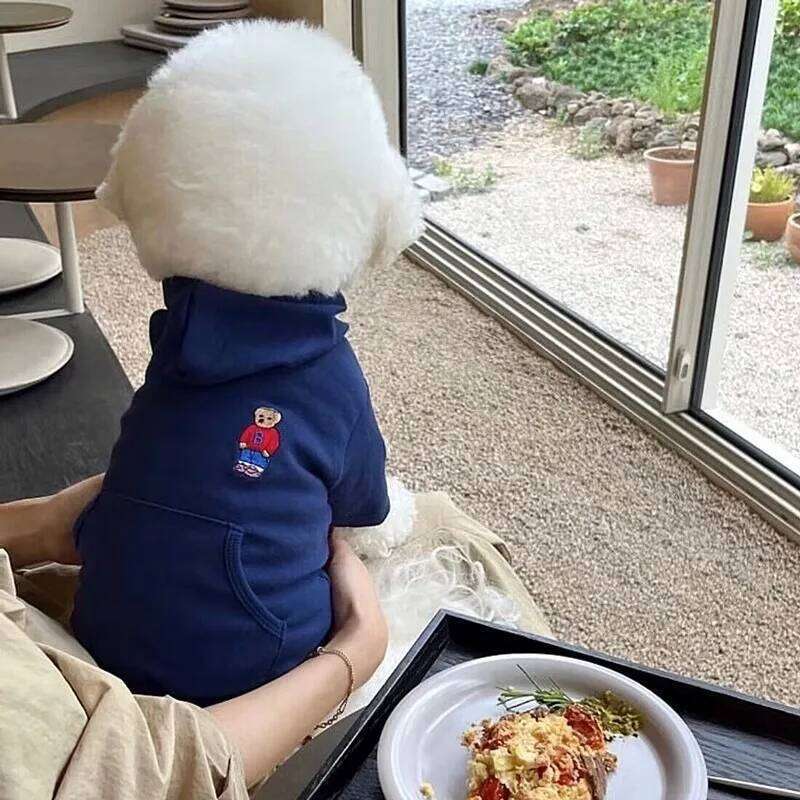 Cute Bear Embroidery Casual Hoodie Cartoon Dog Sweatshirt Cat Pet Winter Two Legs Warm Teddy Clothes 25T1226