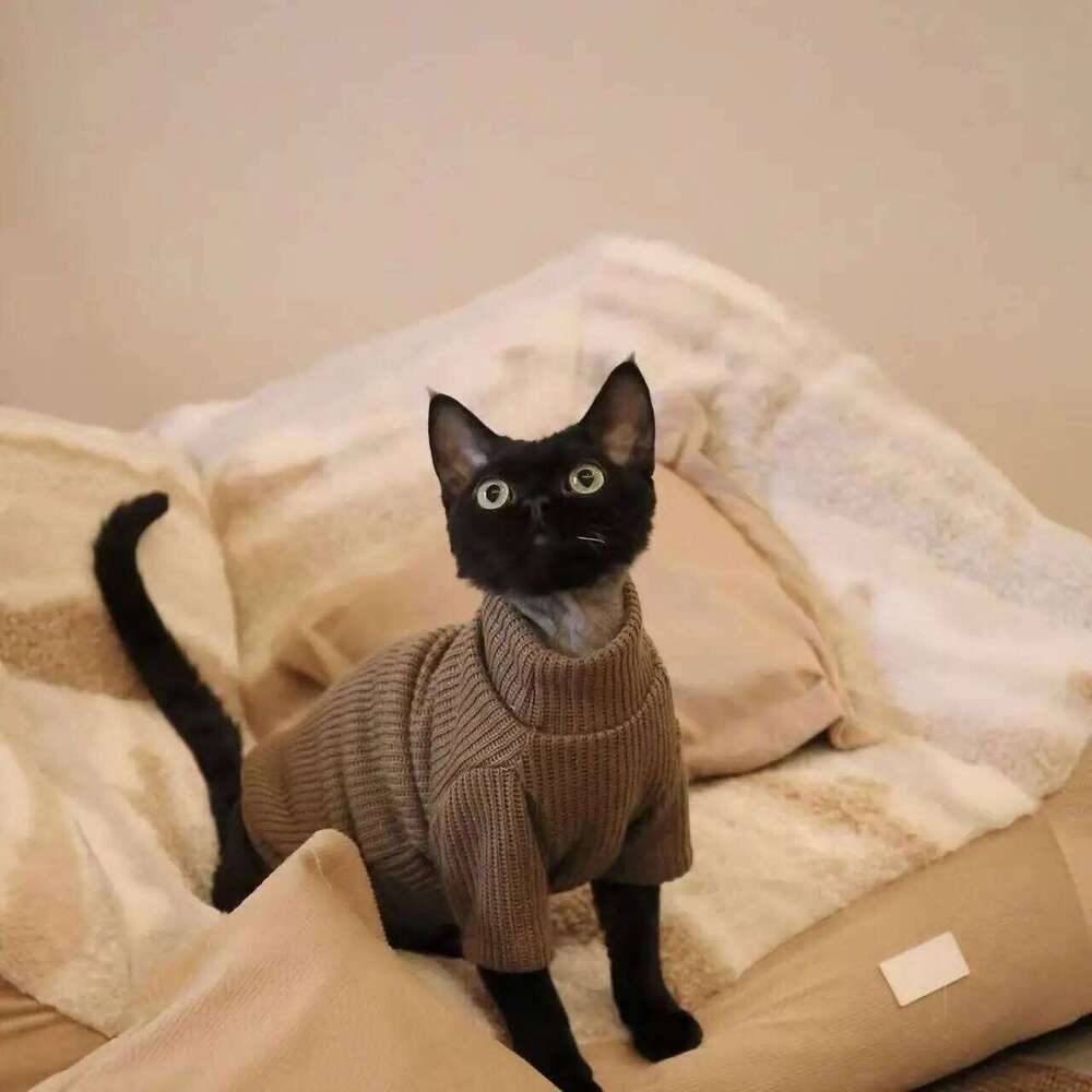 Autumn winter casual simple solid color pullover sweater for small and medium-sized dogs warm cat two-legged pet dog clo 25T1226