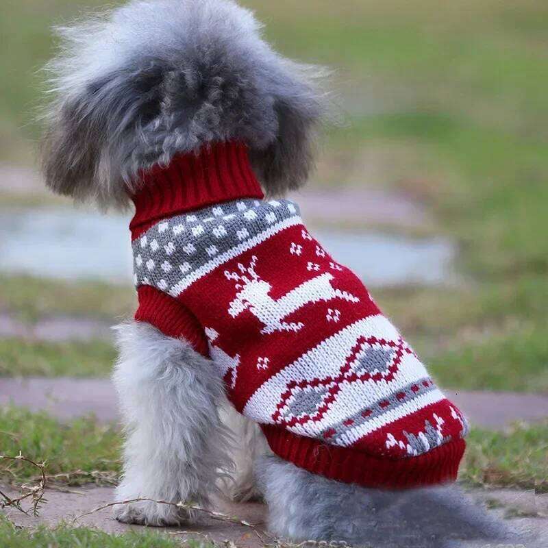 Clothes for Small Medium Dogs Christmas Knitte Dog Winter Warm Cat Sweater Corgi Teddy Coat Pet New Year Supplies 25T1226