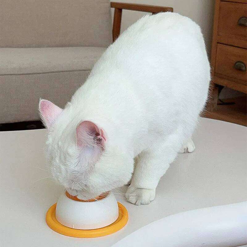 Dog Licking Slow Feeder Interactive Toy Feeding Accessory For Dogs Cat Puppy Kitten Training Supply Food Dispensing Game Box 25N1226