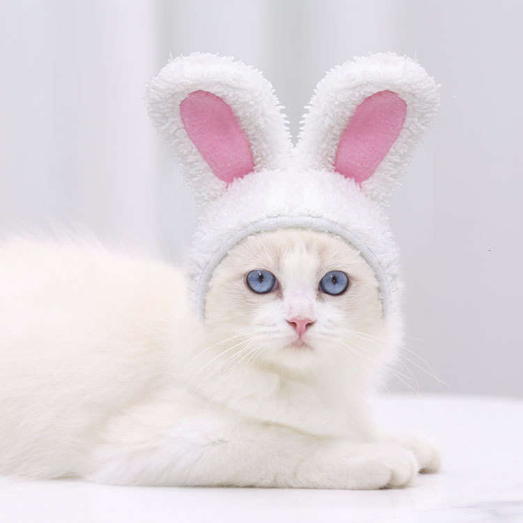 Cute Warm Comfortable Fleece Small Medium 2026 pet supplies Dogs New Cats Pet Rabbit Dog Hat Headgear Cat Supplies Autumn Winter