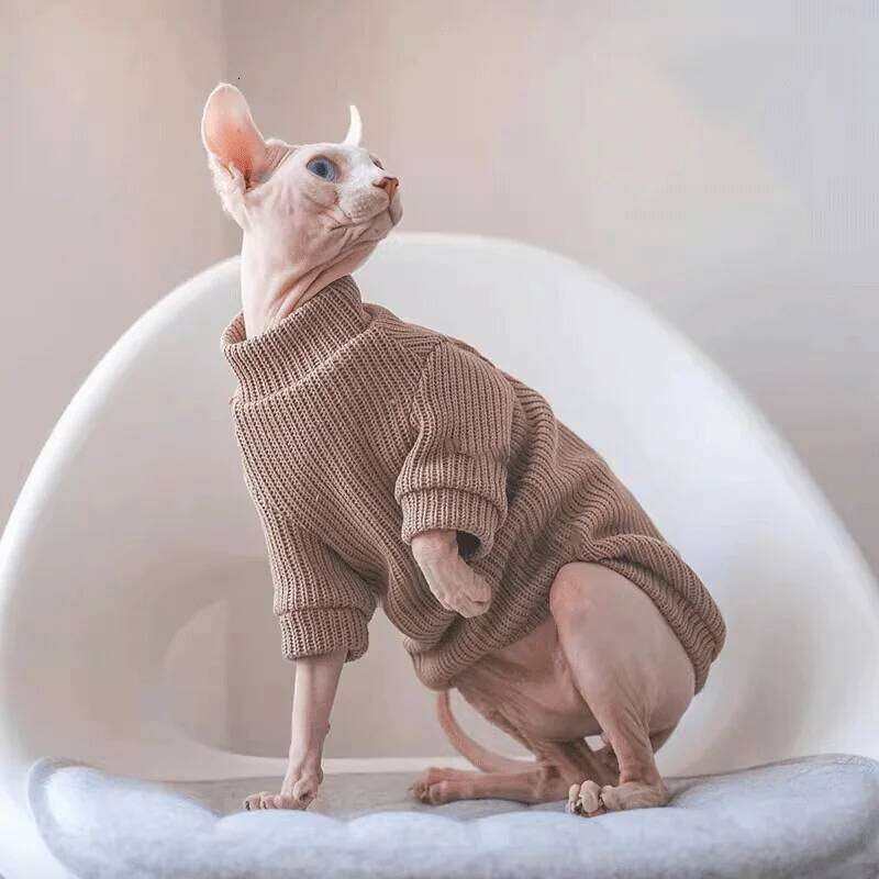 Autumn winter casual simple solid color pullover sweater for small and medium-sized dogs warm cat two-legged pet dog clo 25T1226
